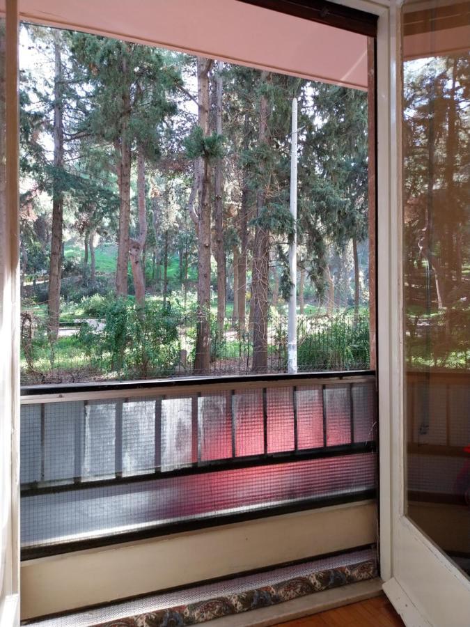 Park-view Апартаменты Афины